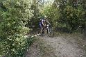 ELBA2019 (119)